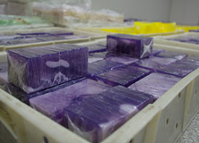 Handmade Soap Manufacturing Workshop